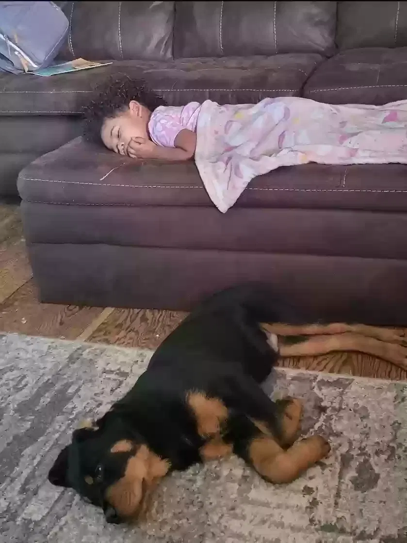Lost dog in Spencer, OK, 73084