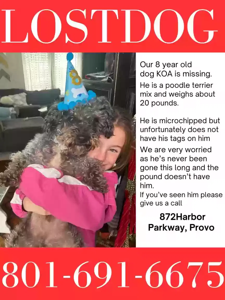 Lost dog in Provo, UT, 84601