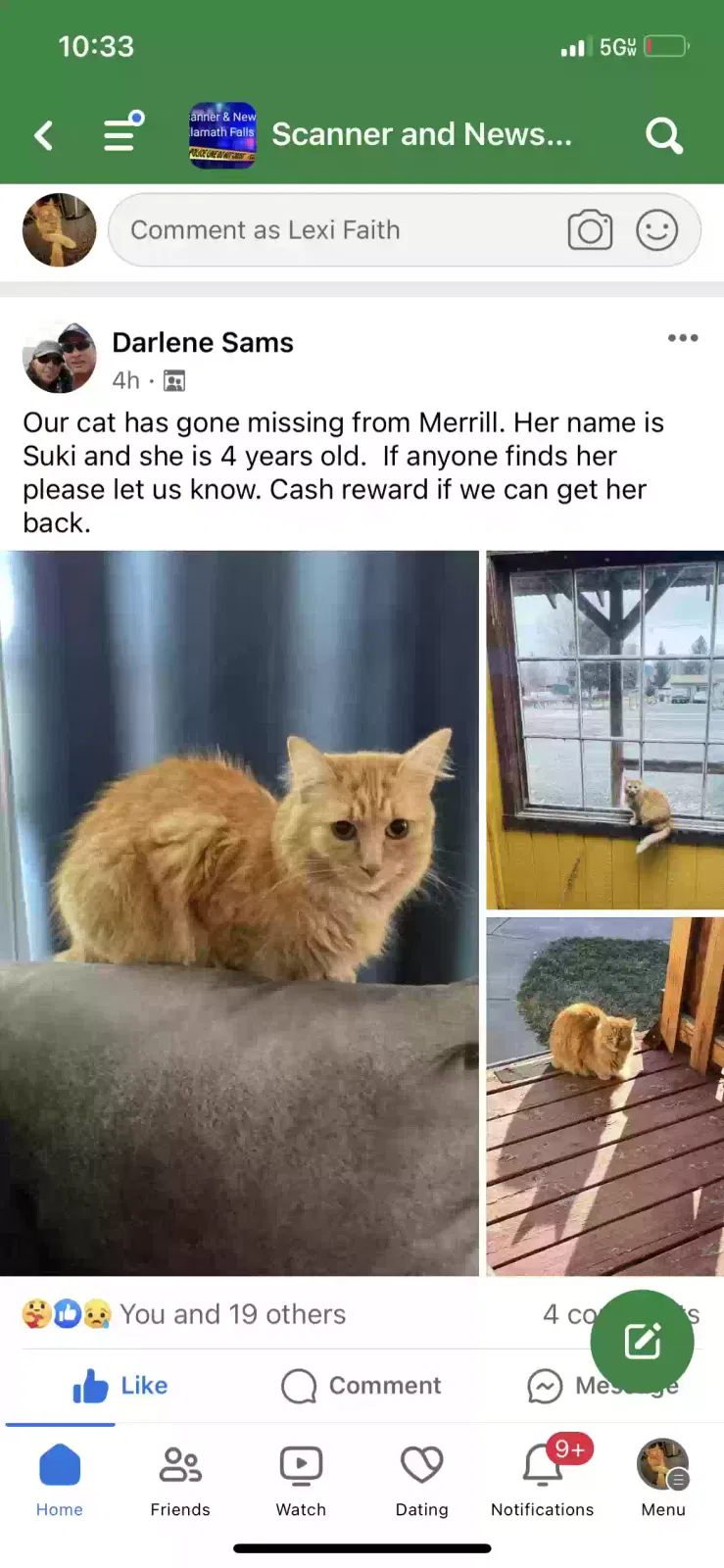 Lost cat in Merrill, OR, 97633