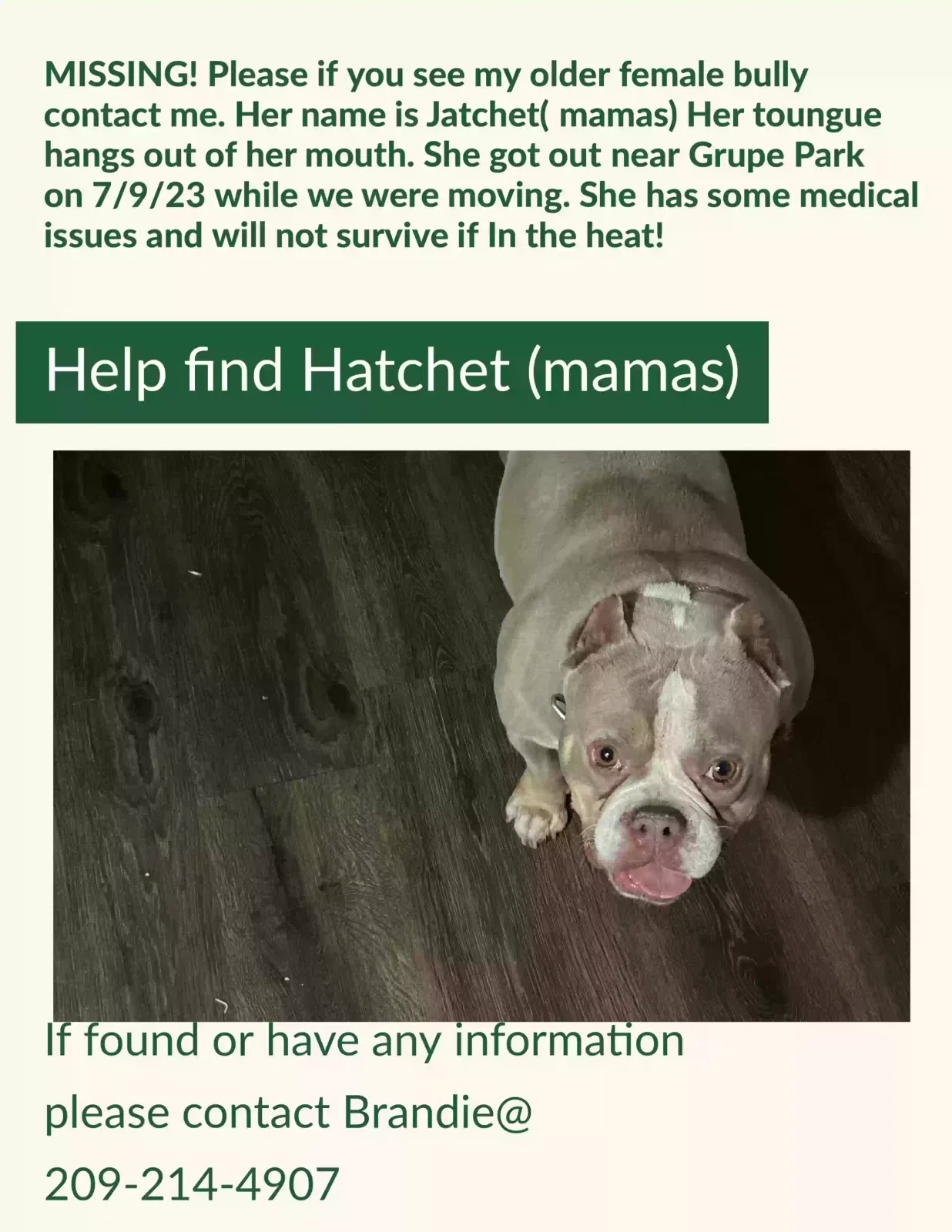 Lost dog in Stockton, CA, 95219