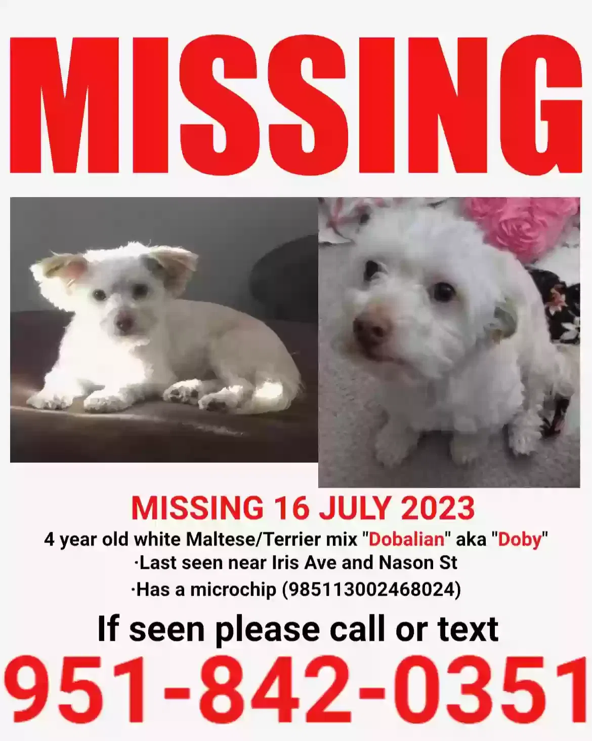Lost dog in Moreno Valley, CA, 92555