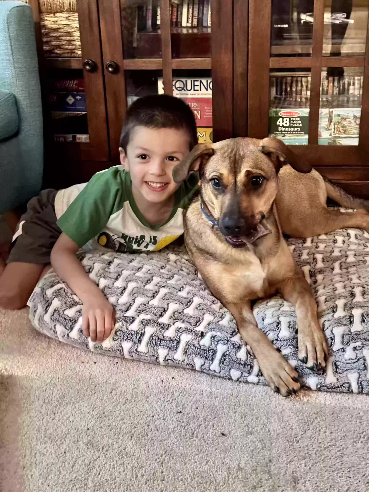 Lost dog in Franklinton, NC, 27525
