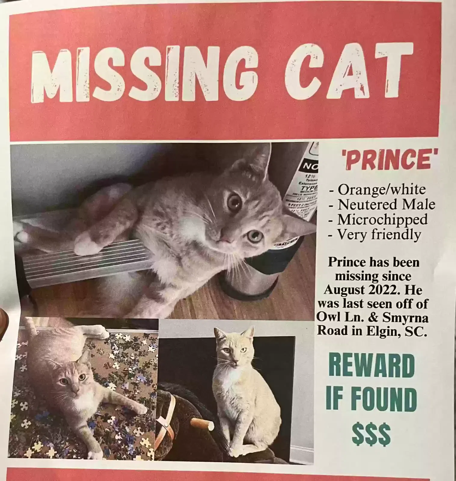 Lost cat in Elgin, SC, 29045