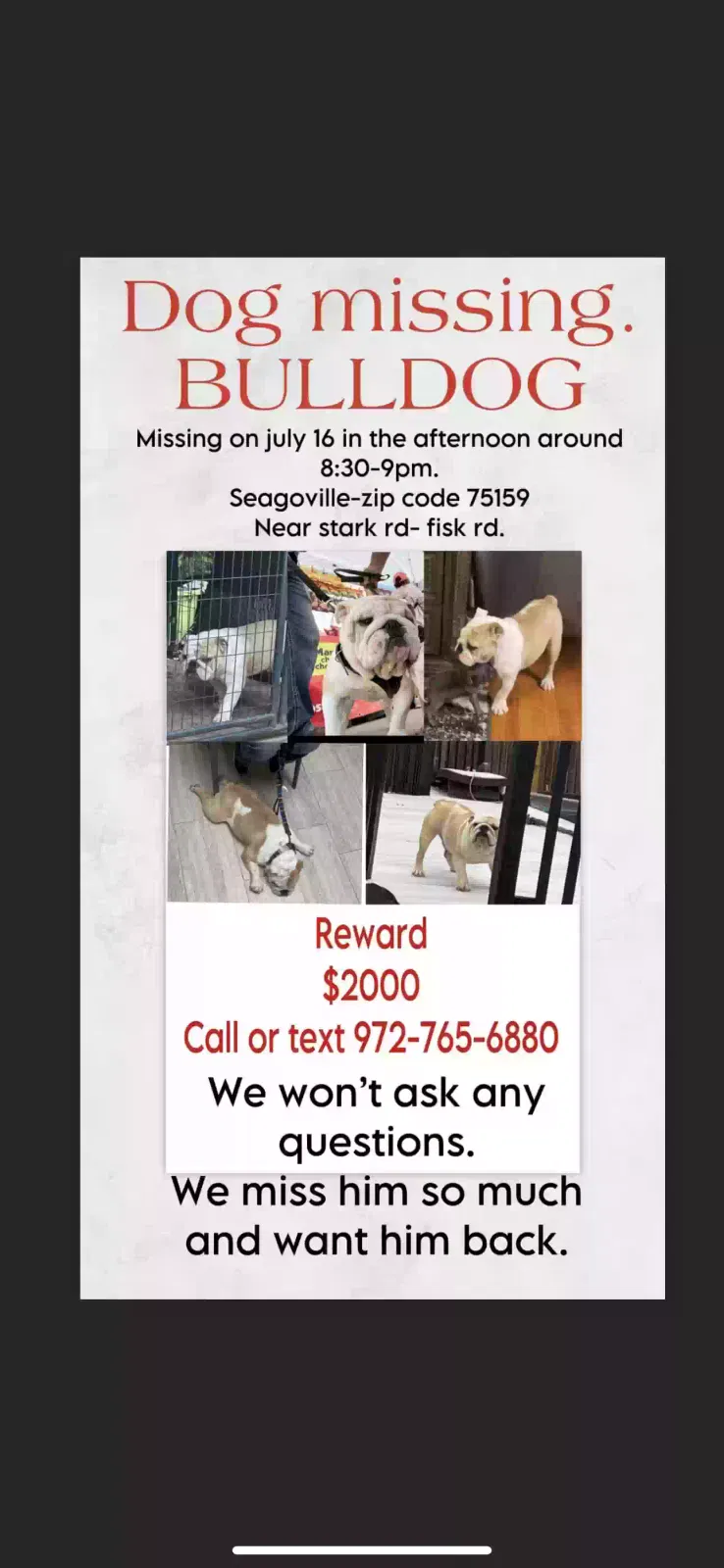 Lost dog in Seagoville, TX, 75159