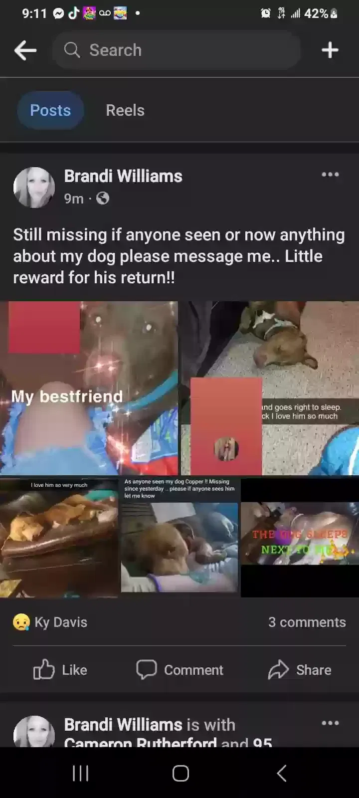Lost dog in Ozona, TX, 76943