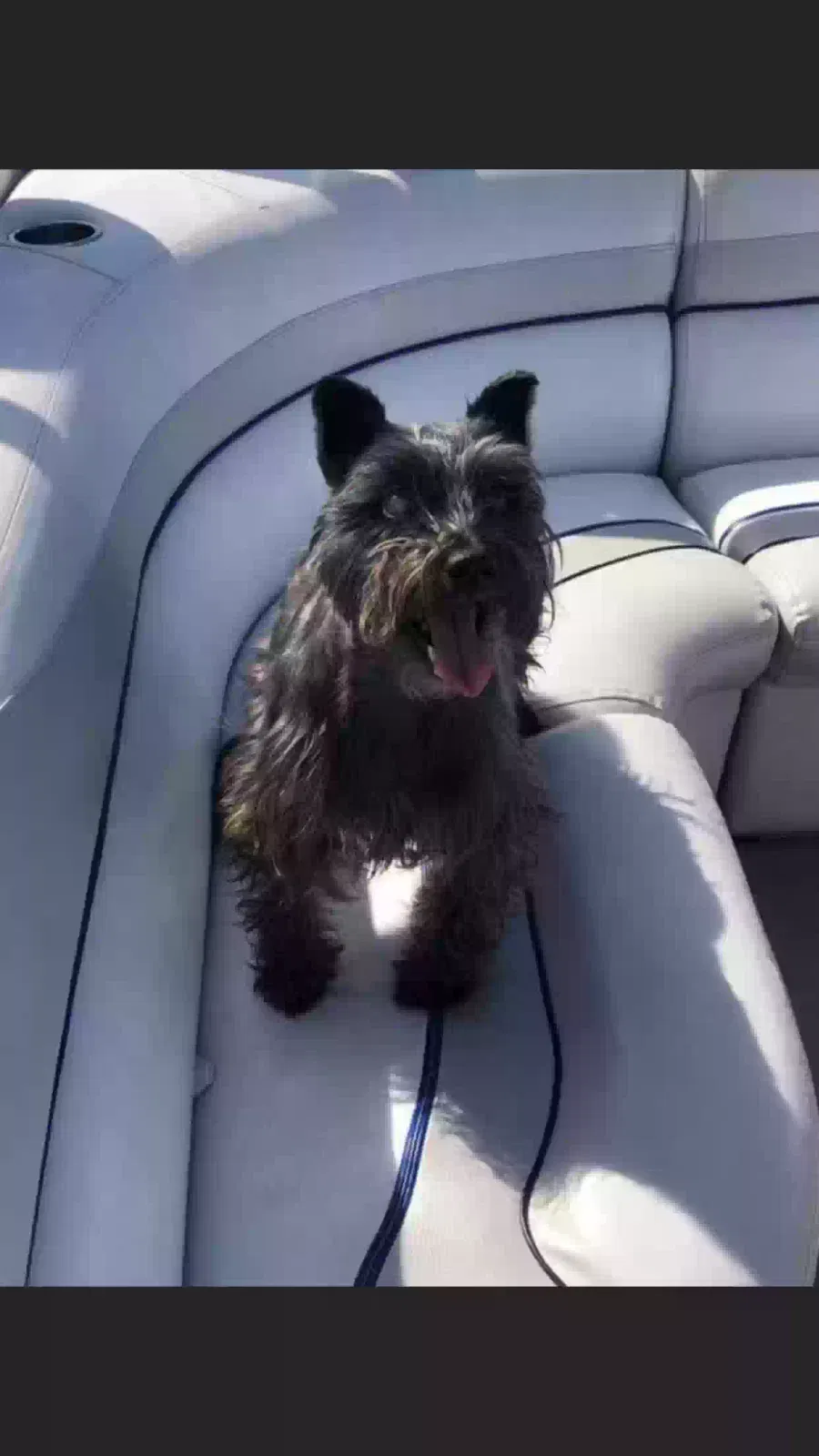 Lost dog in Shawnee, OK, 74804