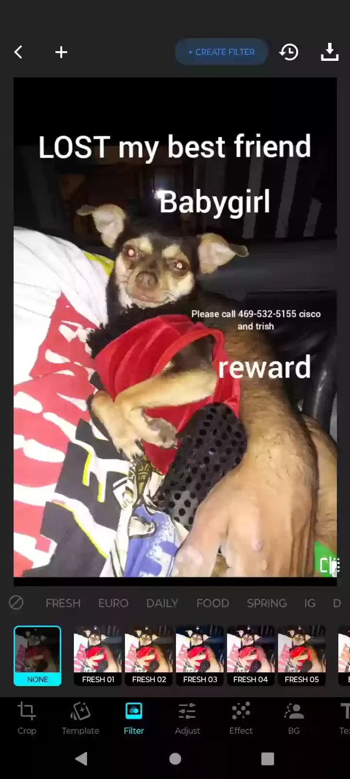 Lost dog in Dallas, TX, 75228