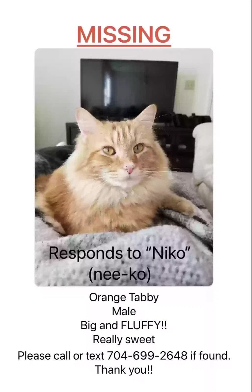 Lost cat in Midland, NC, 28107