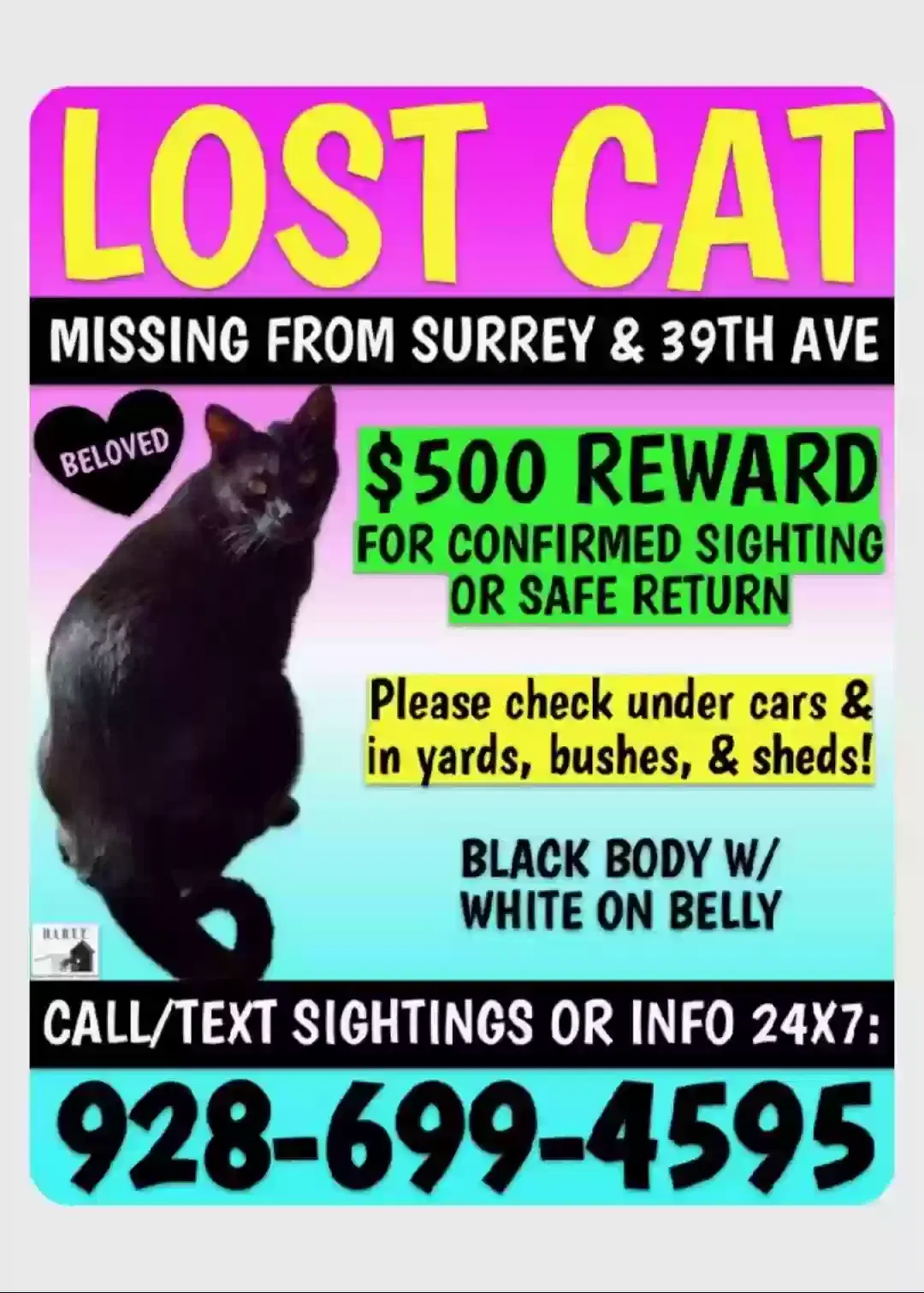 Lost cat in Phoenix, AZ, 85029