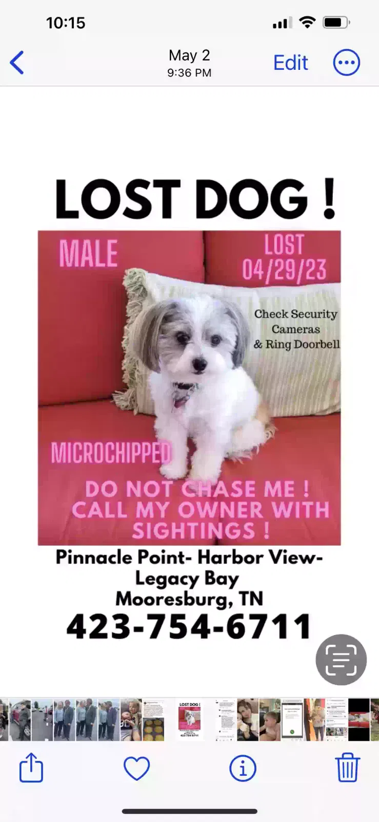 Lost dog in Unknown, TN, 36811
