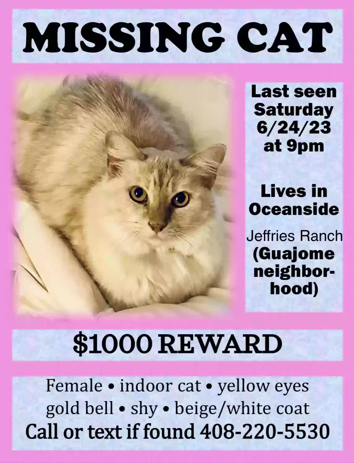 Lost cat in Oceanside, CA, 92057