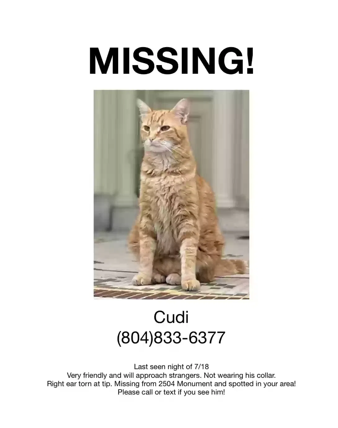 Lost cat in Henrico, VA, 23233