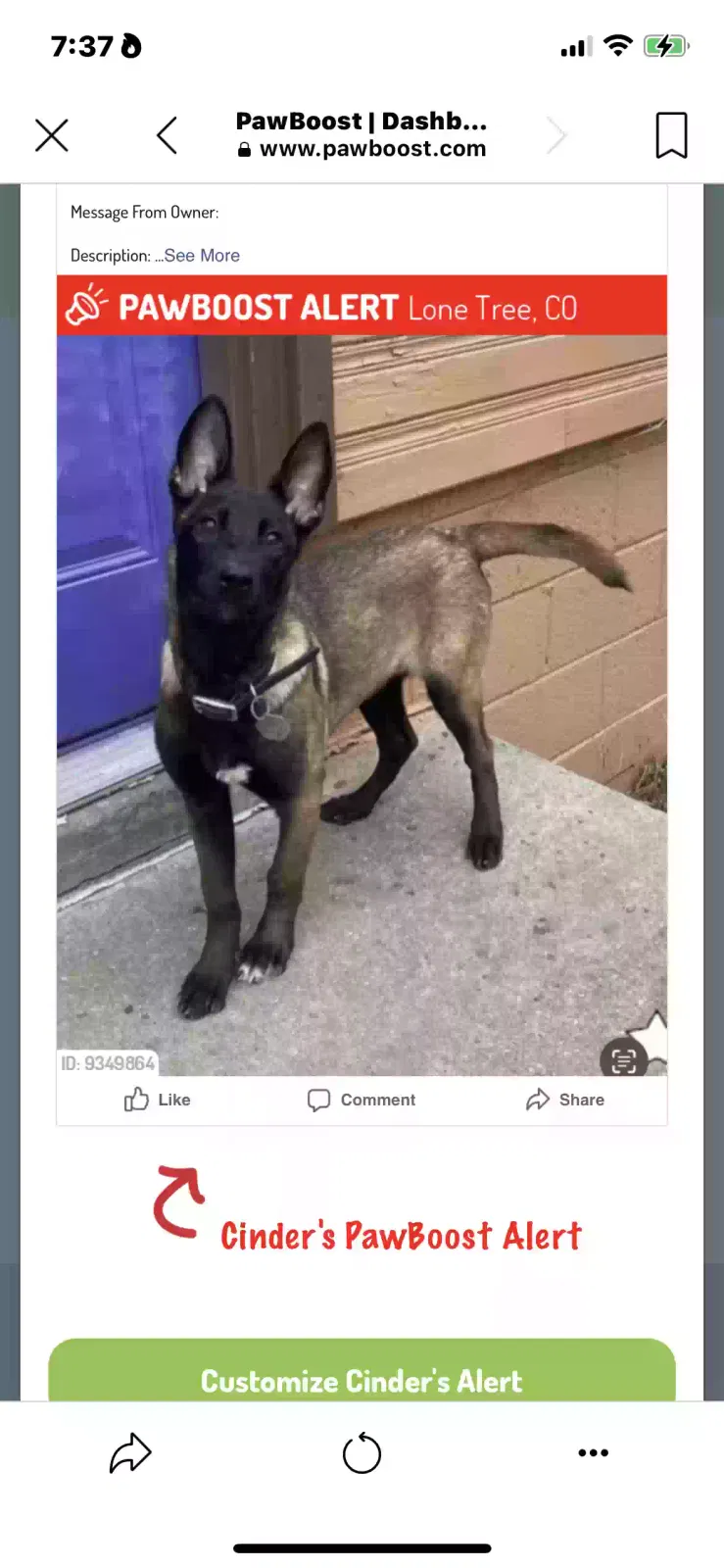 Lost dog in Lone Tree, CO, 80124