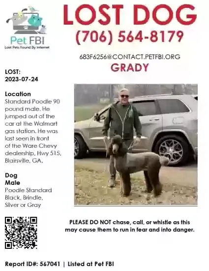 Lost dog in Blairsville, GA, 30512