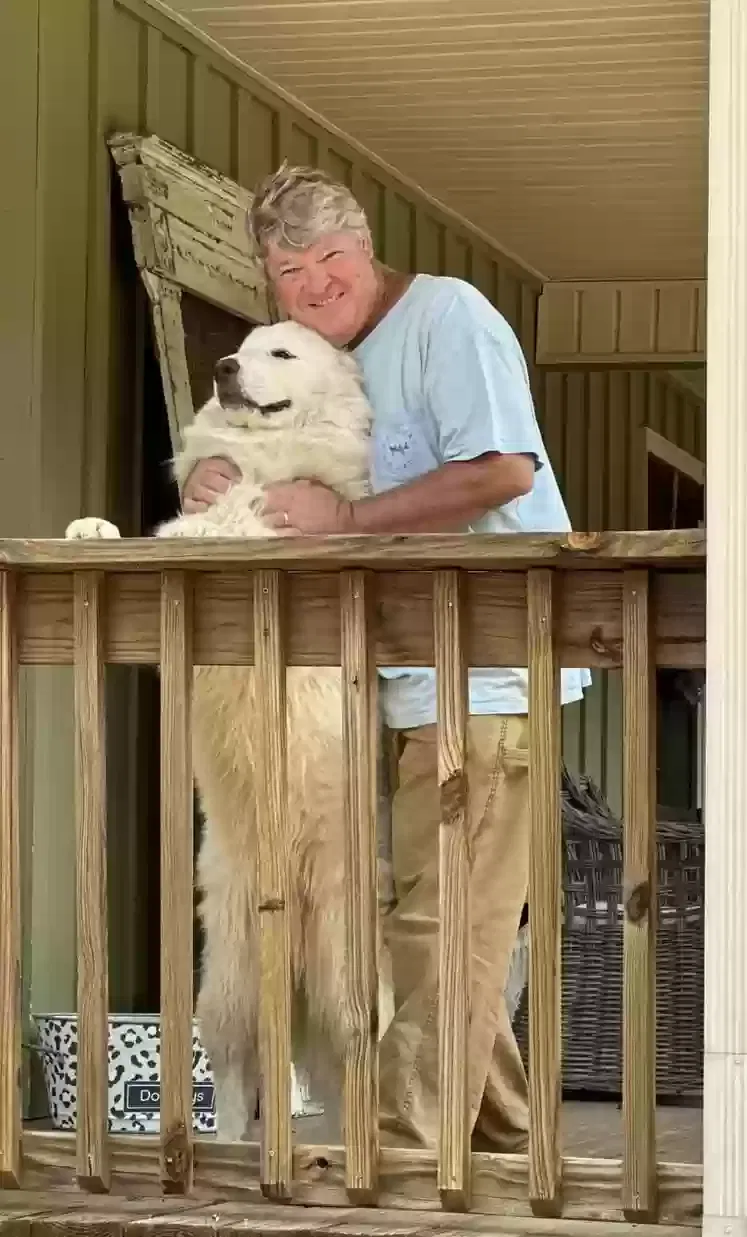Lost dog in Springville, AL, 35146