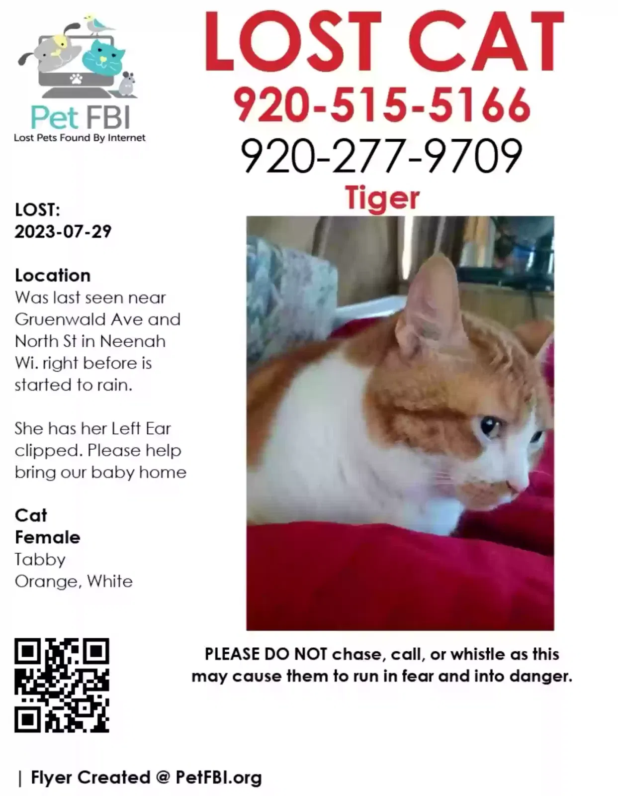 Lost cat in Neenah, WI, 54956