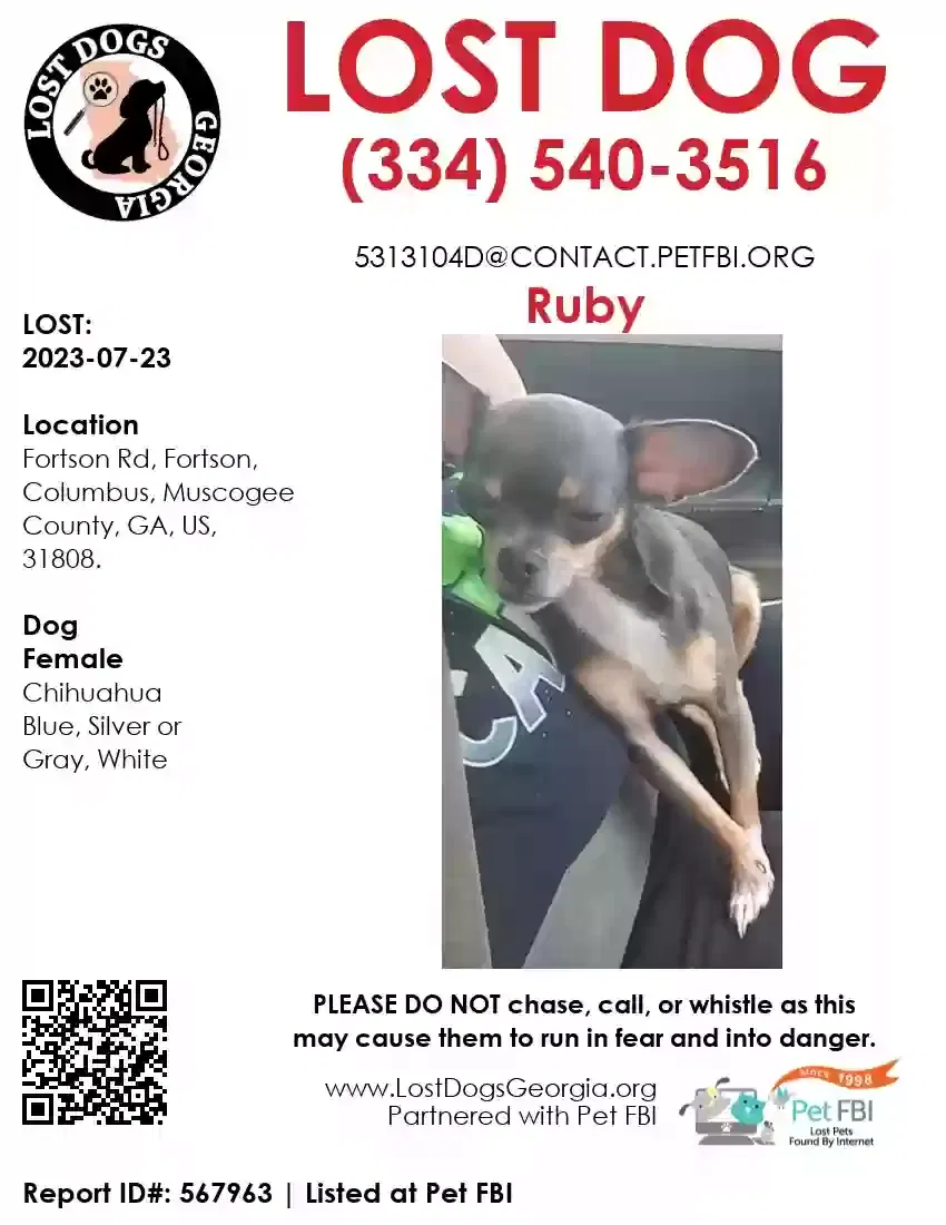 Lost dog in Fortson, GA, 31808