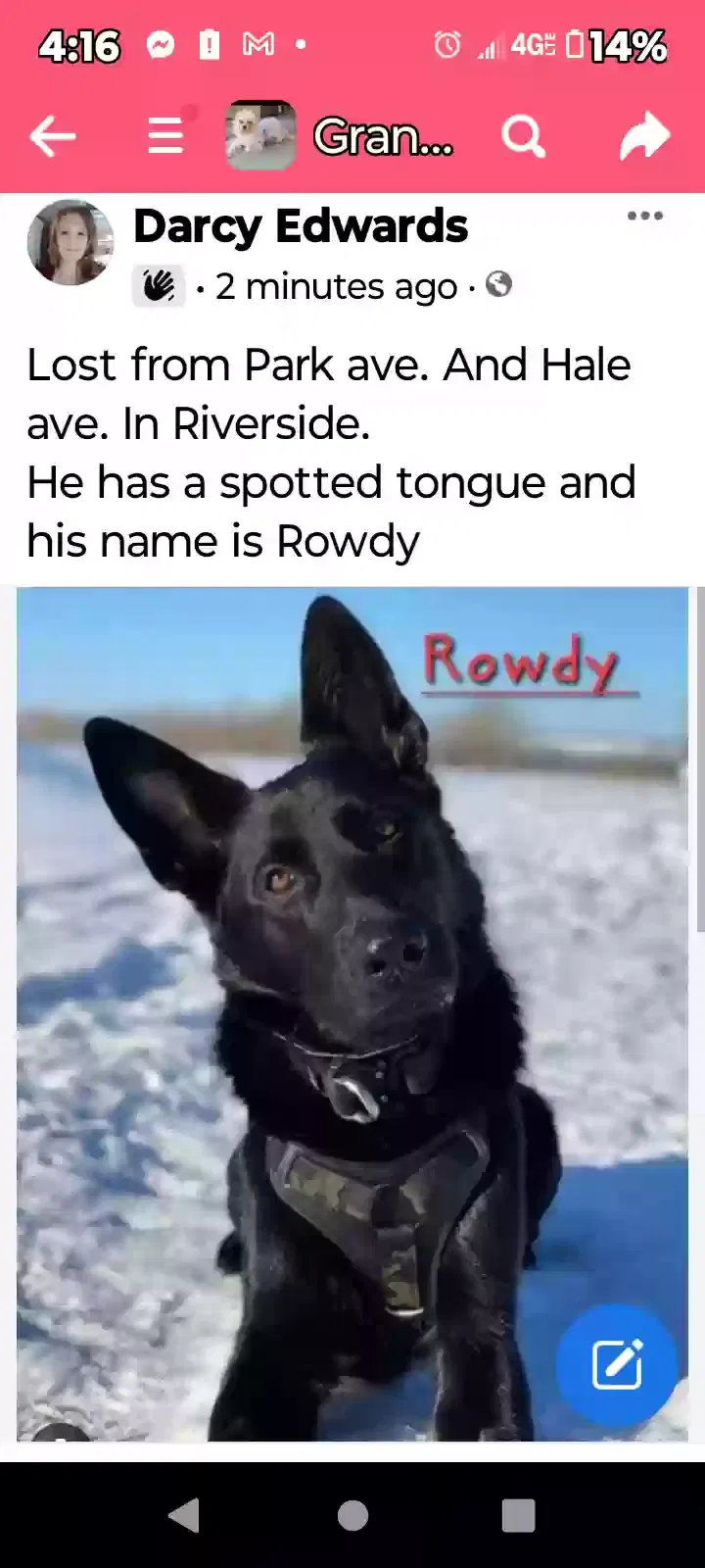 Lost dog in Grand Junction, CO, 81501