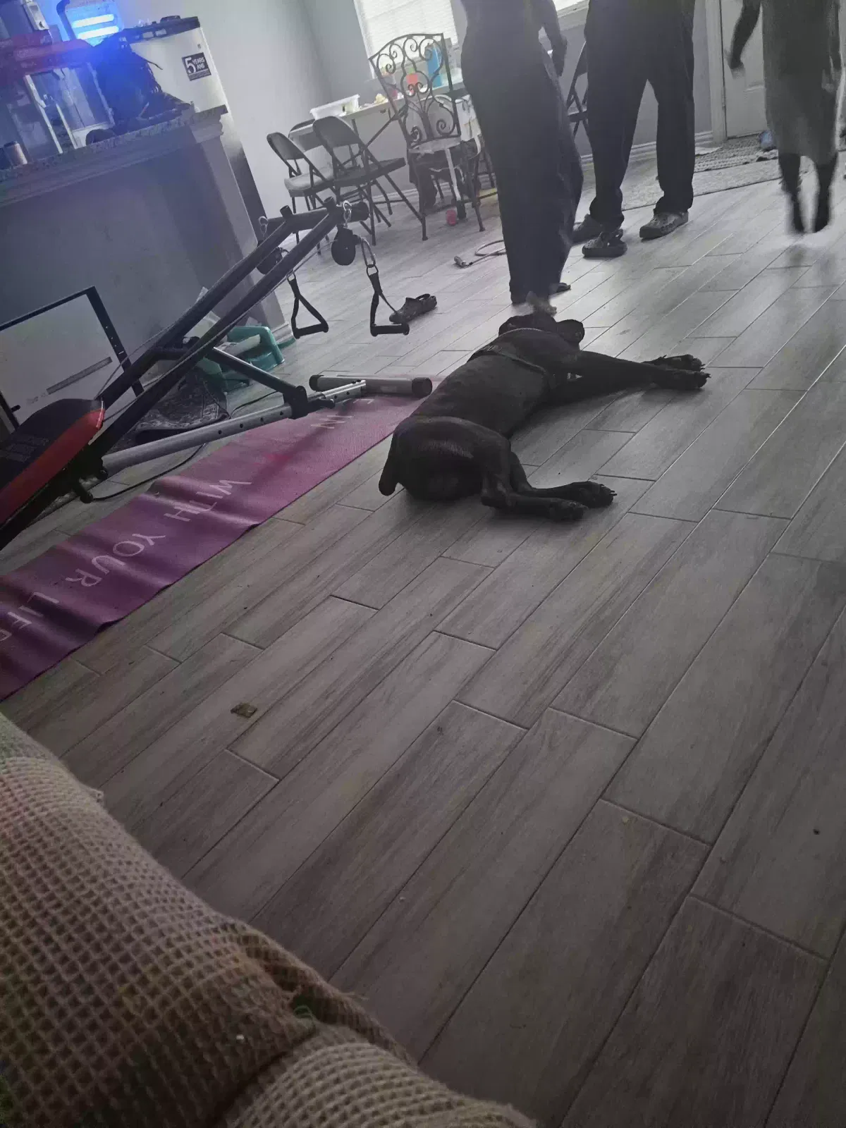 Found dog in Crandall, TX, 75114