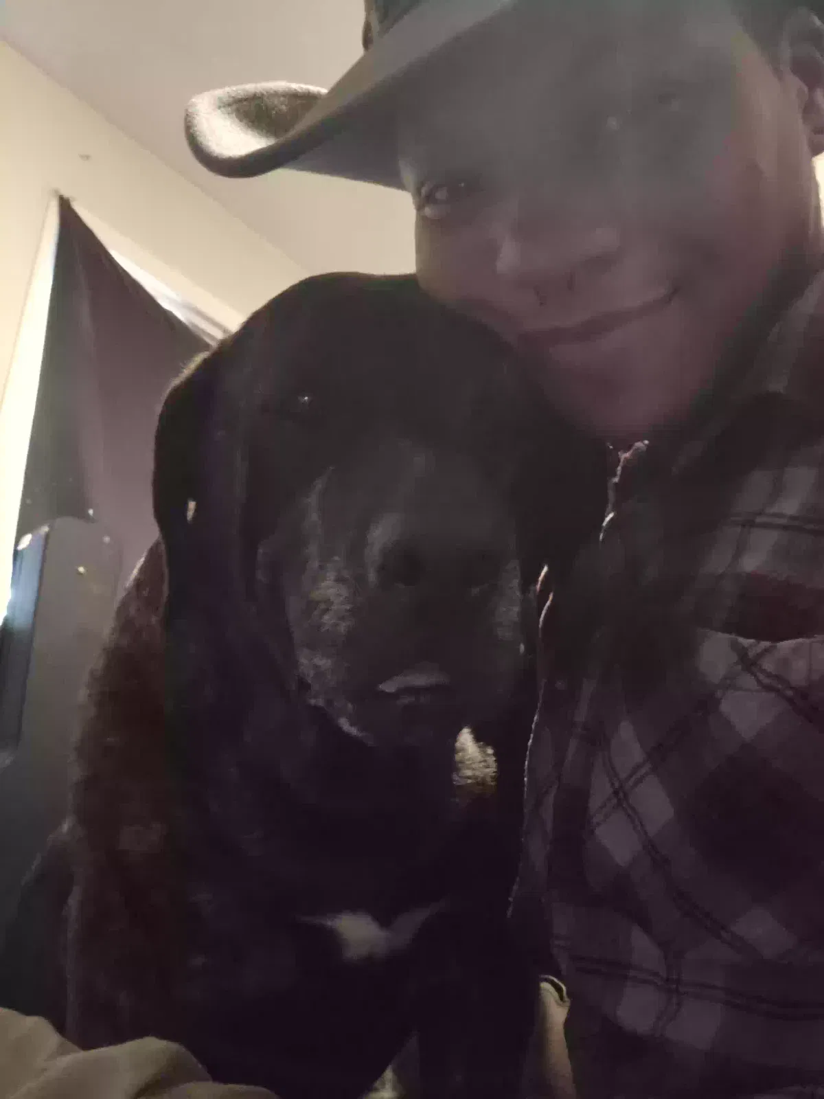 Lost dog in Fayetteville, NC, 28304