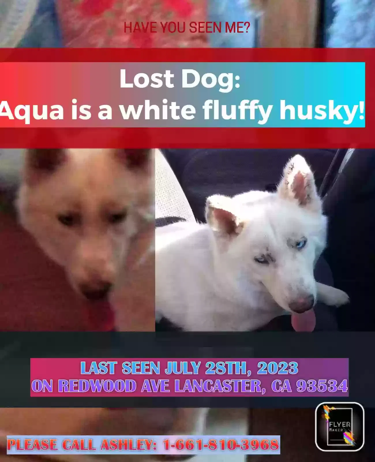 Lost dog in Pearblossom, CA, 93553