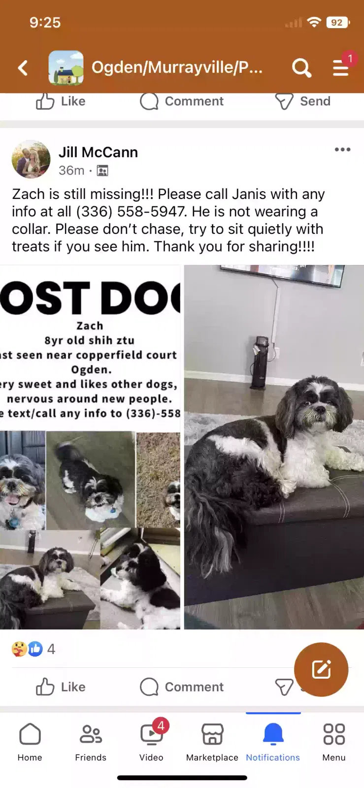 Lost dog in Wilmington, NC, 28411