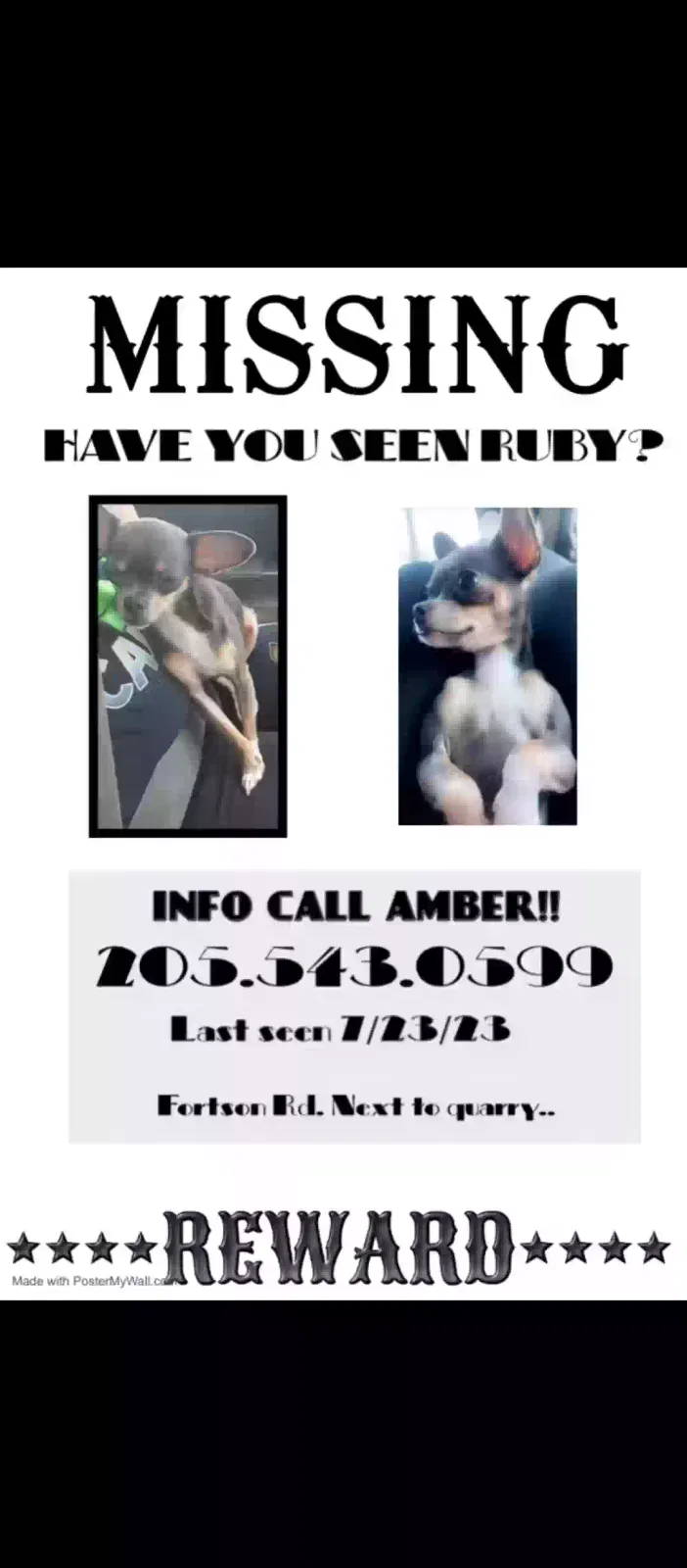 Lost dog in Fortson, GA, 31808