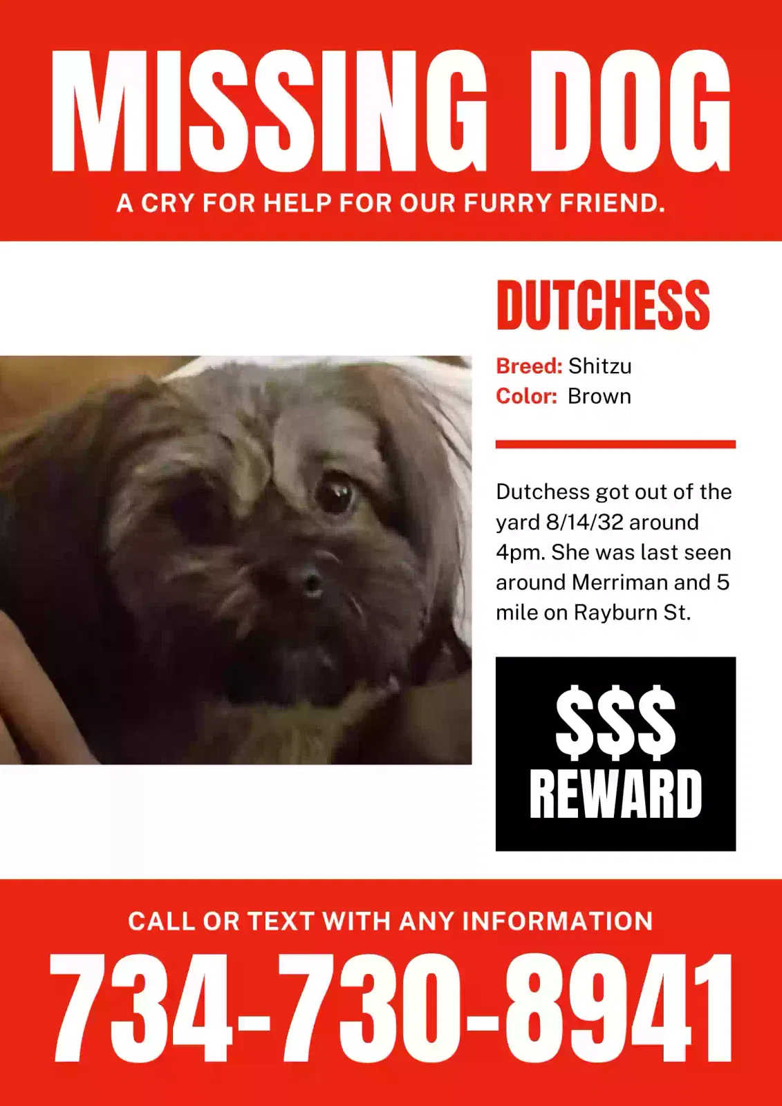 Lost dog in Livonia, MI, 48154