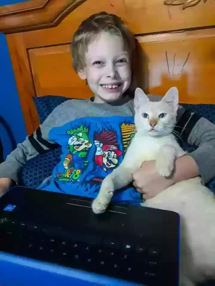 Lost cat in Jacksonville, FL, 32277