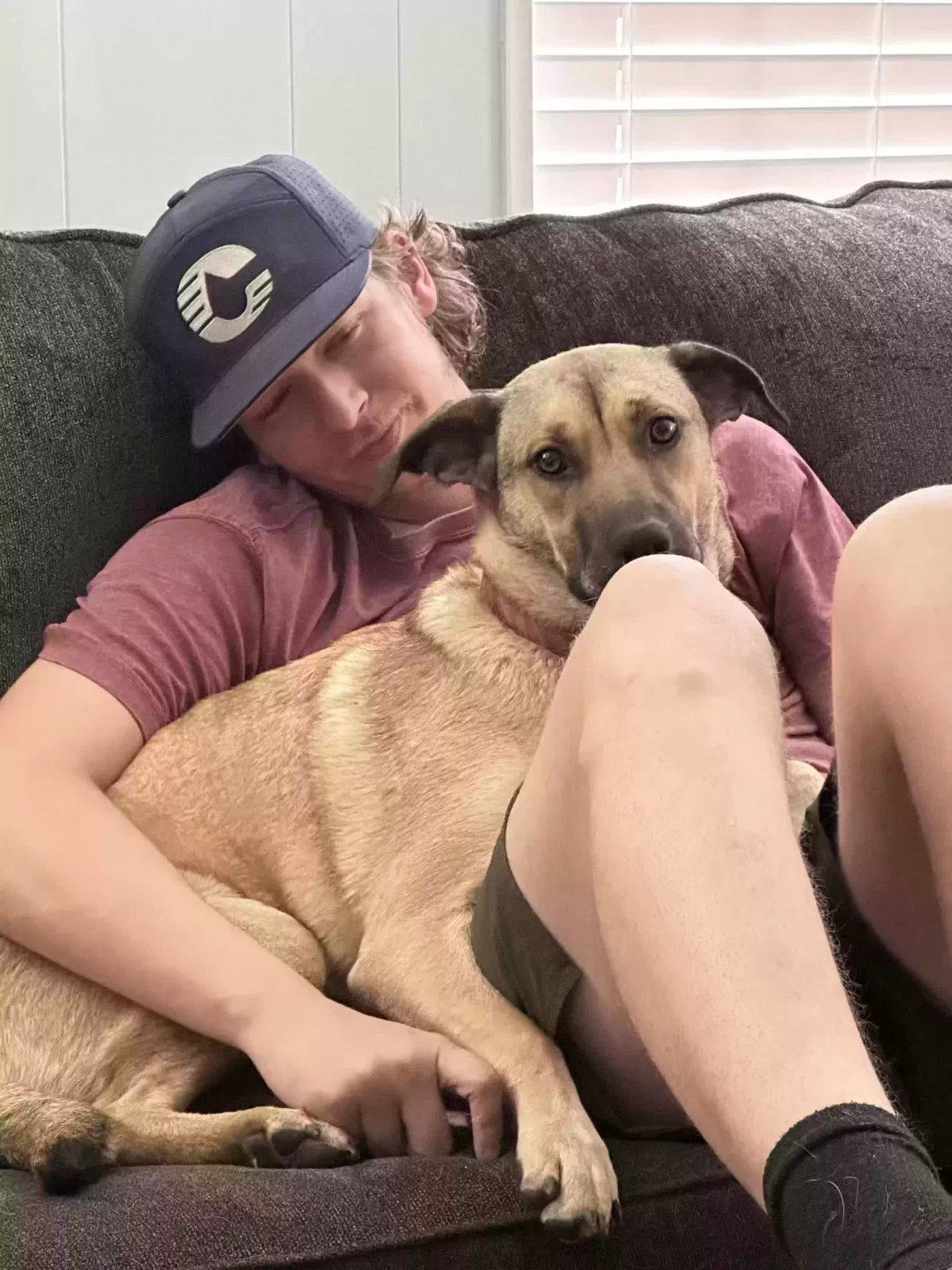 Lost dog in Cresson, TX, 76035