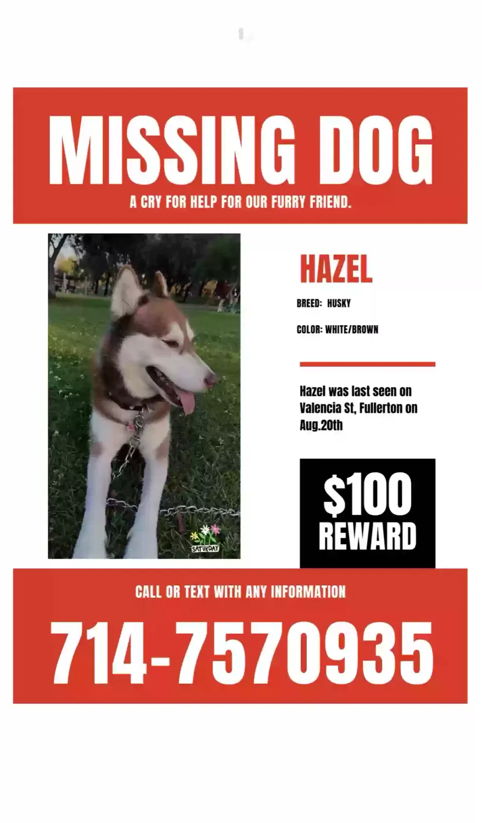 Lost dog in Fullerton, CA, 92833