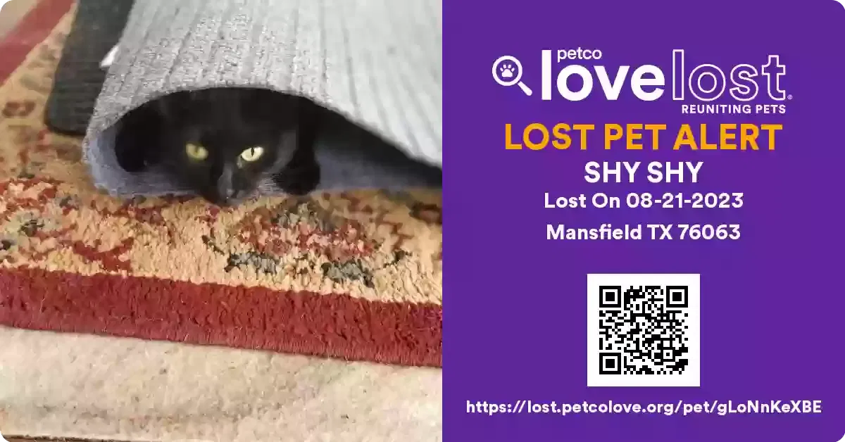 Lost cat in Mansfield, TX, 76063