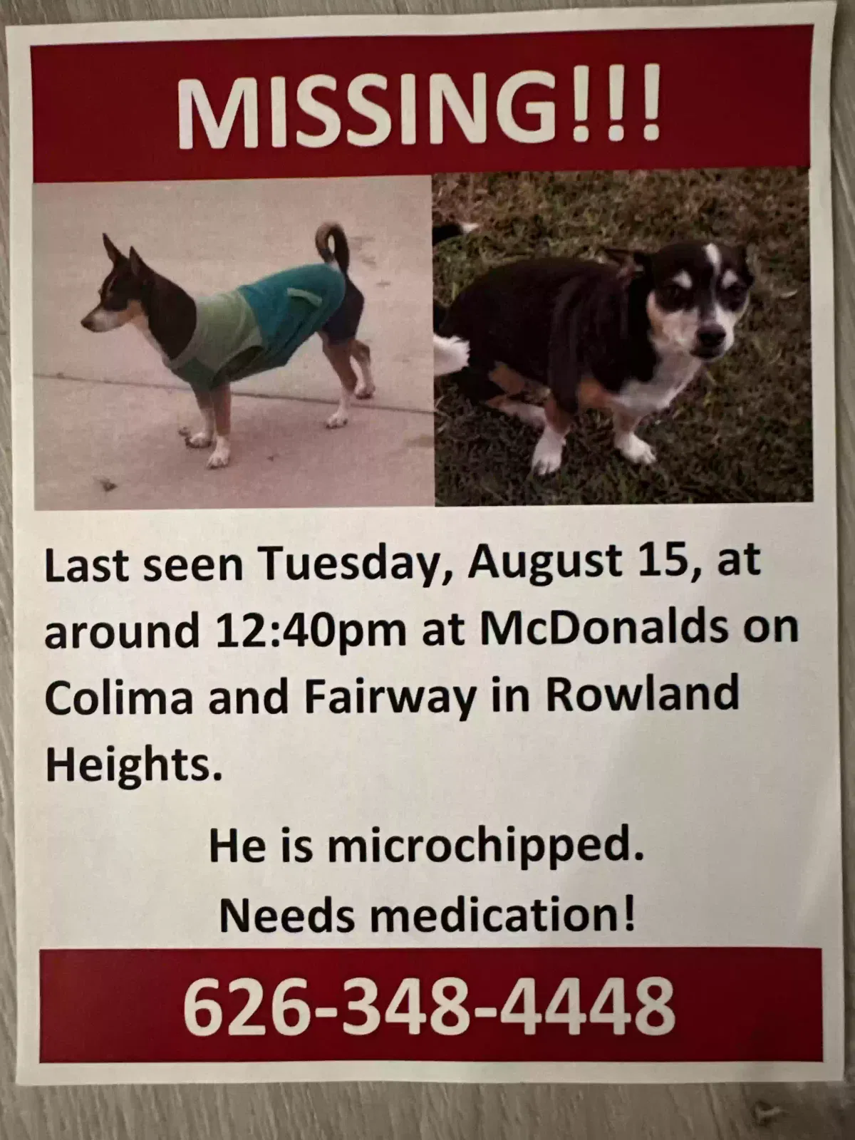 Lost dog in Rowland Heights, CA, 91748