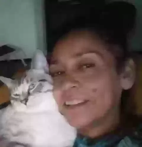 Found cat in Fullerton, CA, 92832