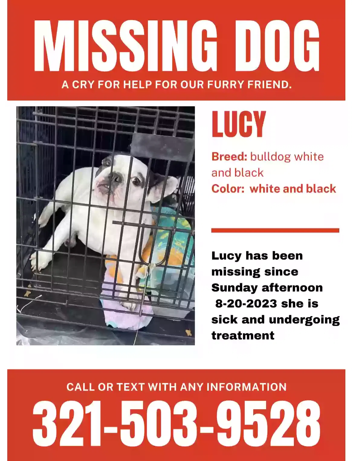 Lost dog in Orlando, FL, 32807
