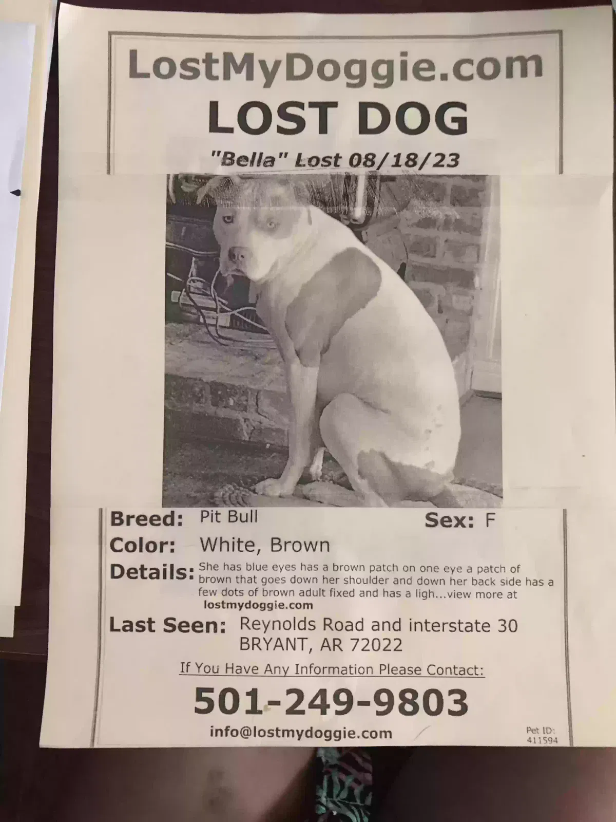 Lost dog in Bryant, AR, 72022