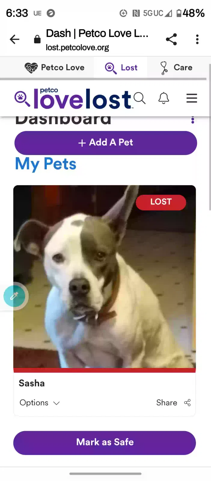 Lost dog in Stockbridge, GA, 30281