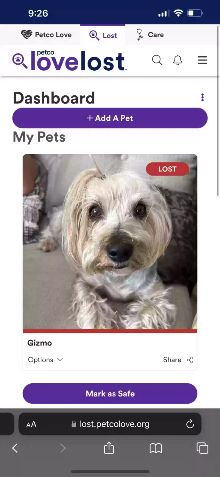 Lost dog in Las Vegas, NV, 89128