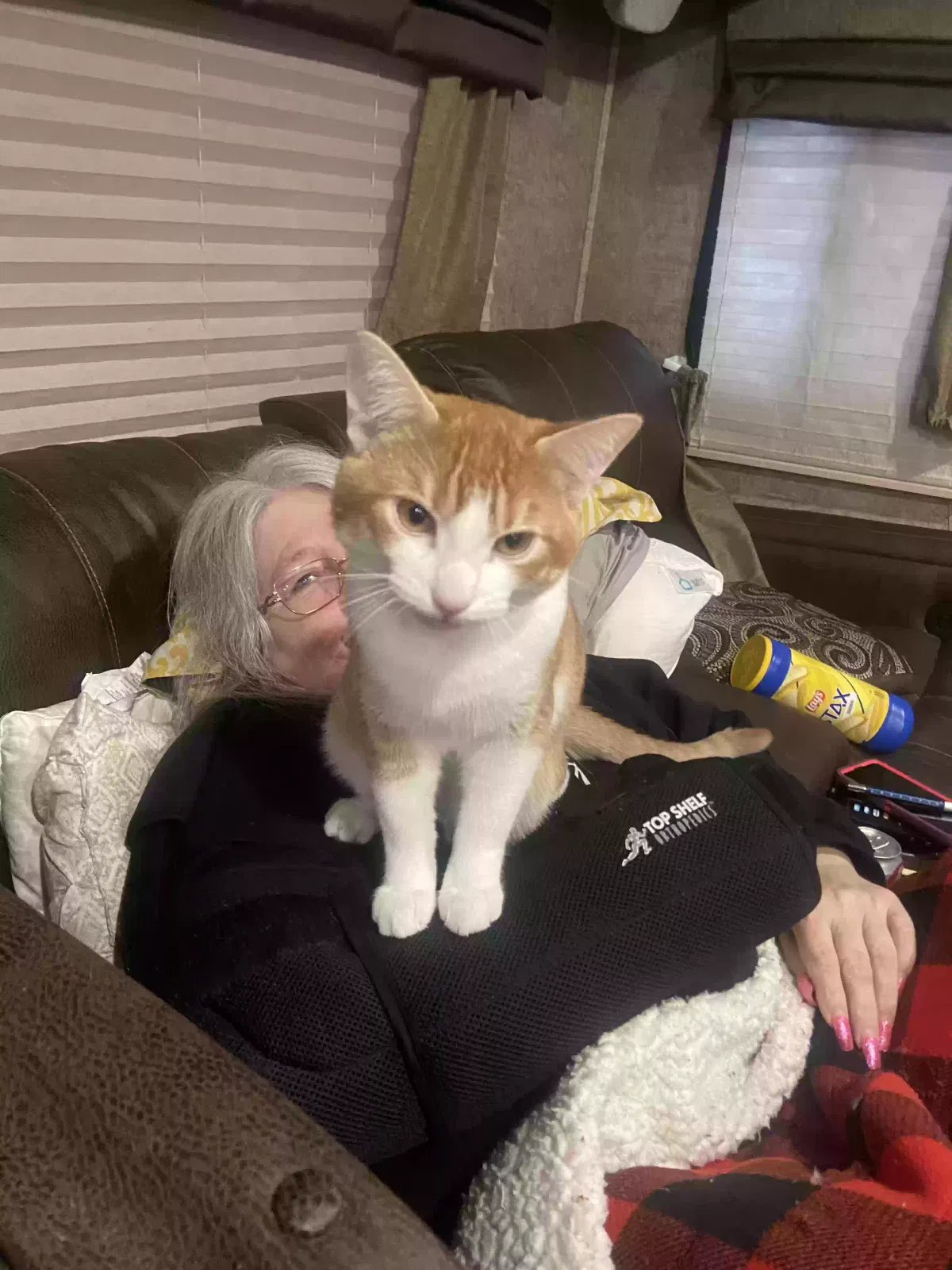 Lost cat in Graham, WA, 98338