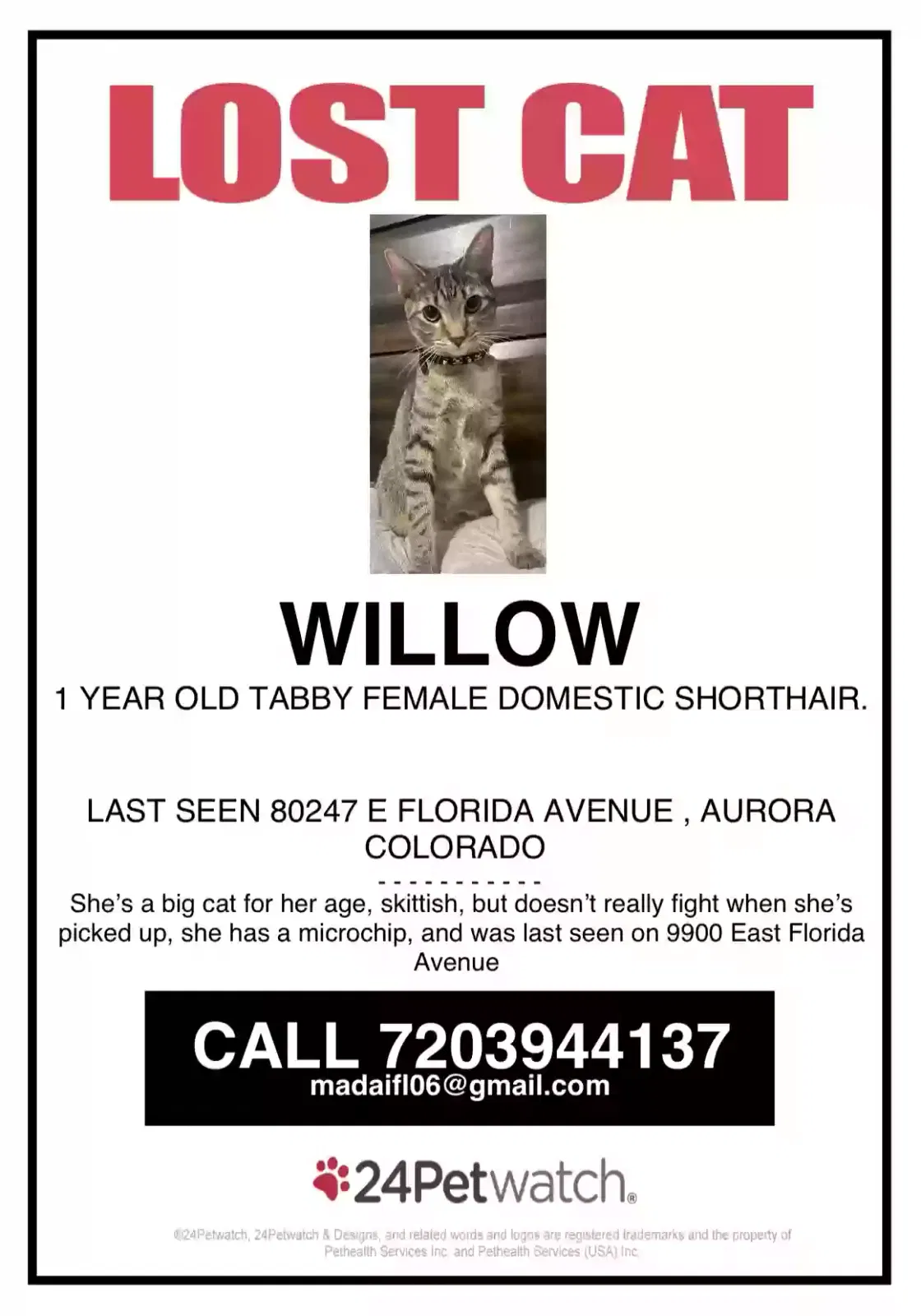Lost cat in Denver, CO, 80247