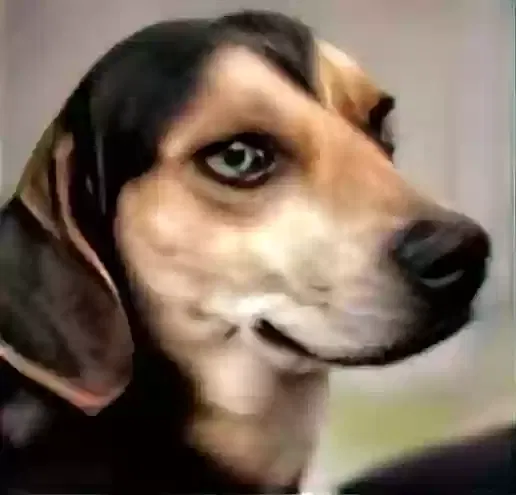 Lost dog in Macon, GA, 31204