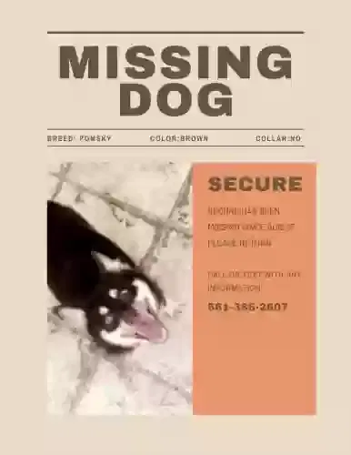 Lost dog in Winter Springs, FL, 32708
