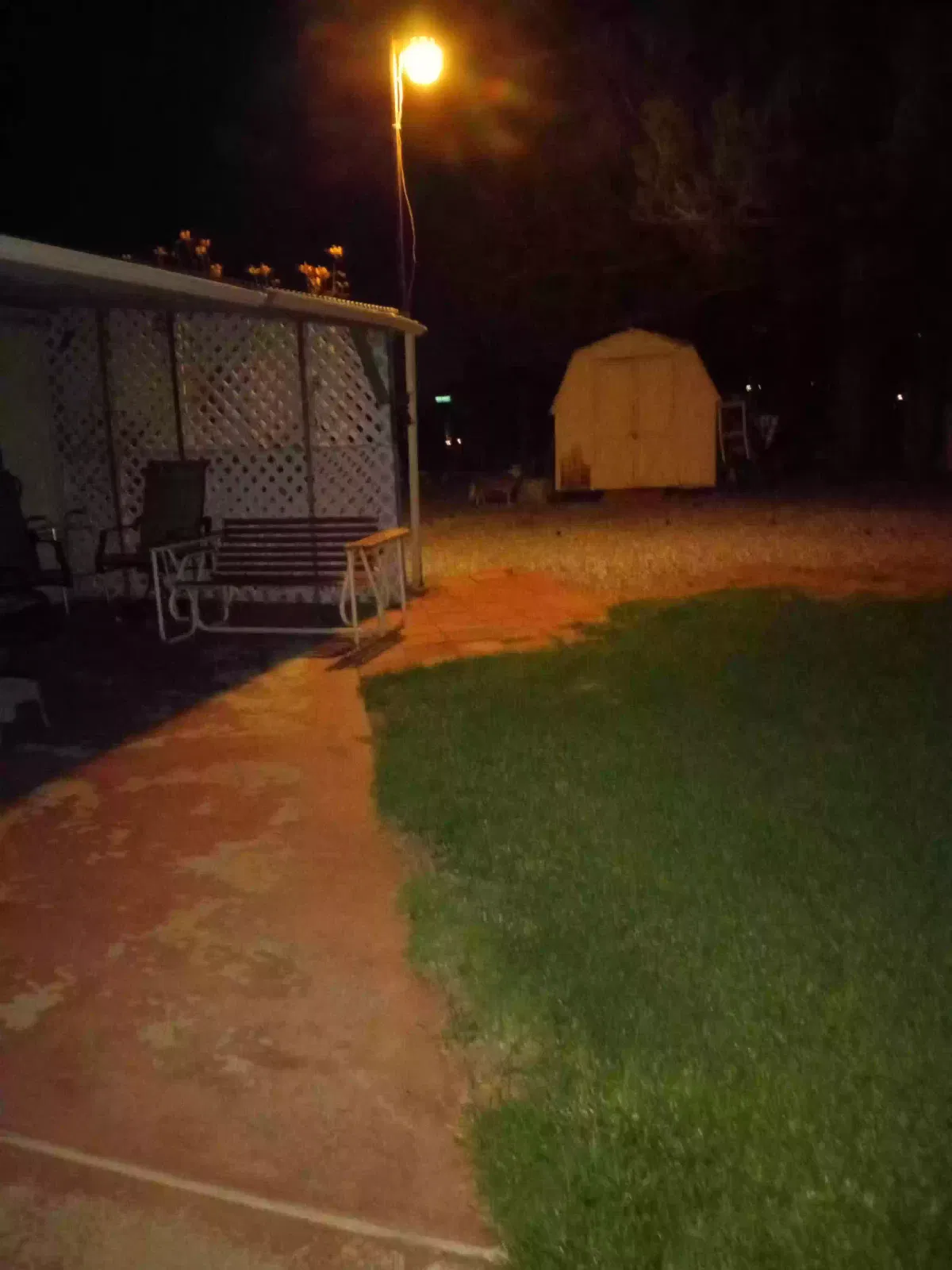 Found dog in Apple Valley, CA, 92307