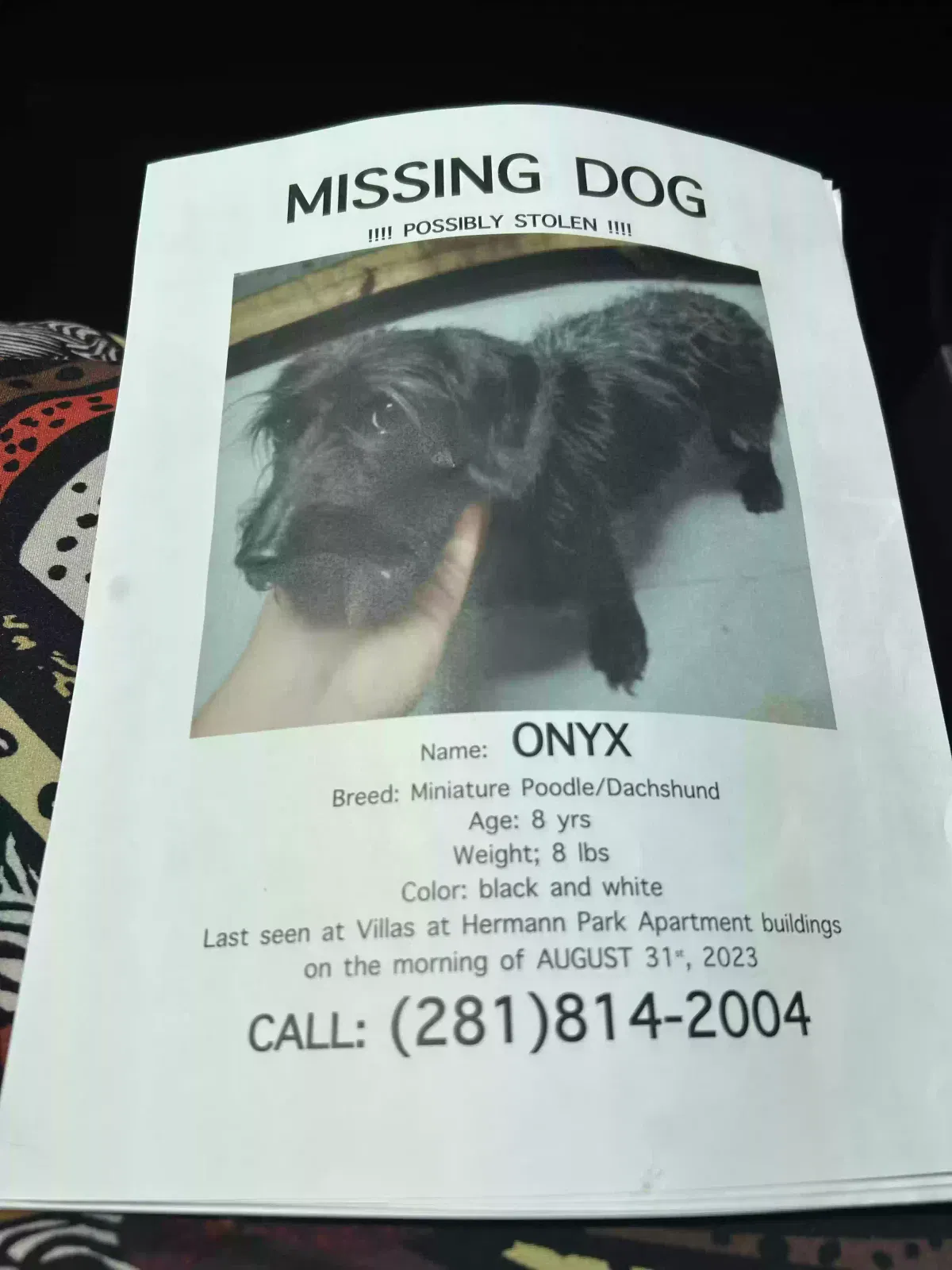 Lost dog in Houston, TX, 77021