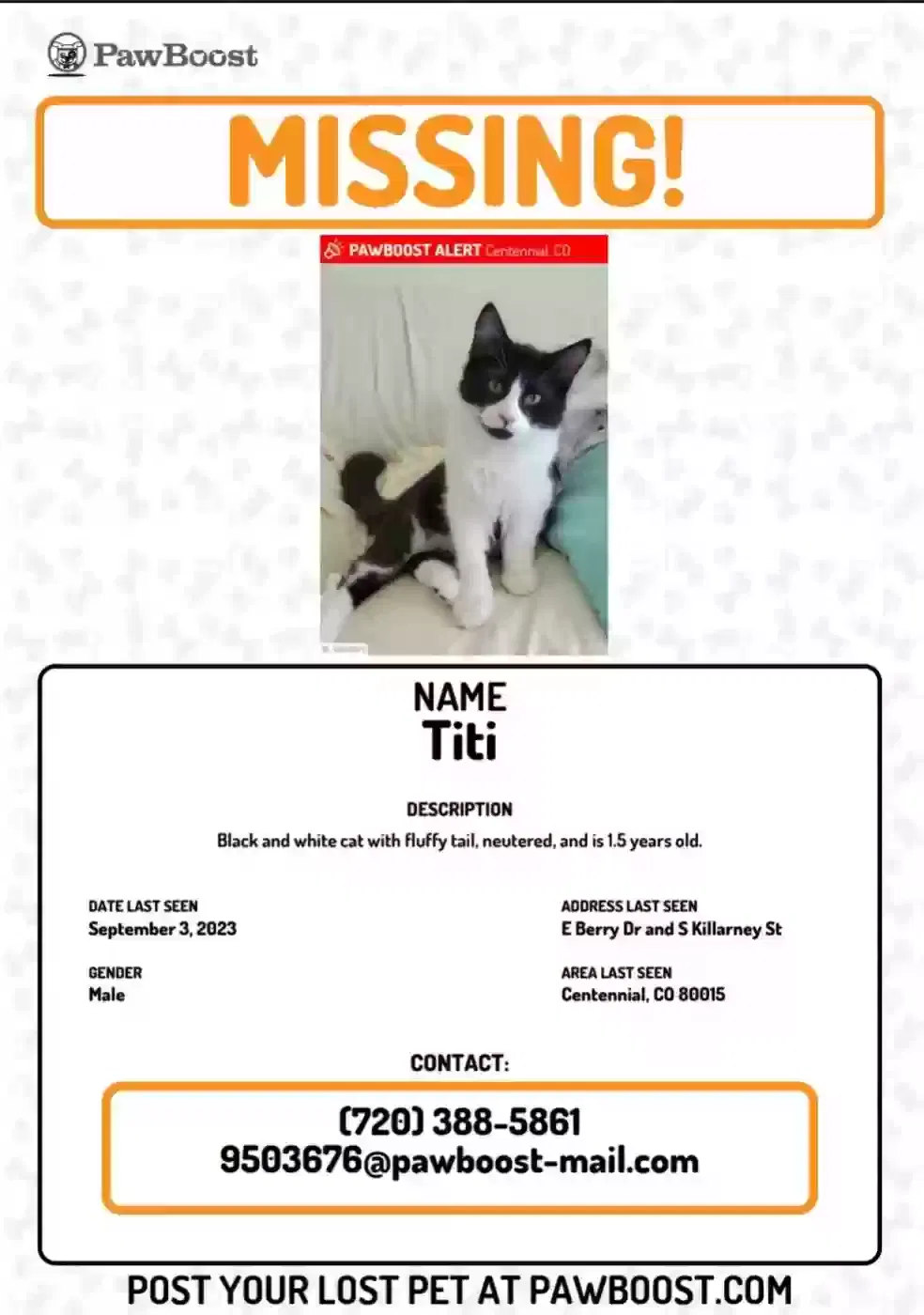 Lost cat in Aurora, CO, 80015