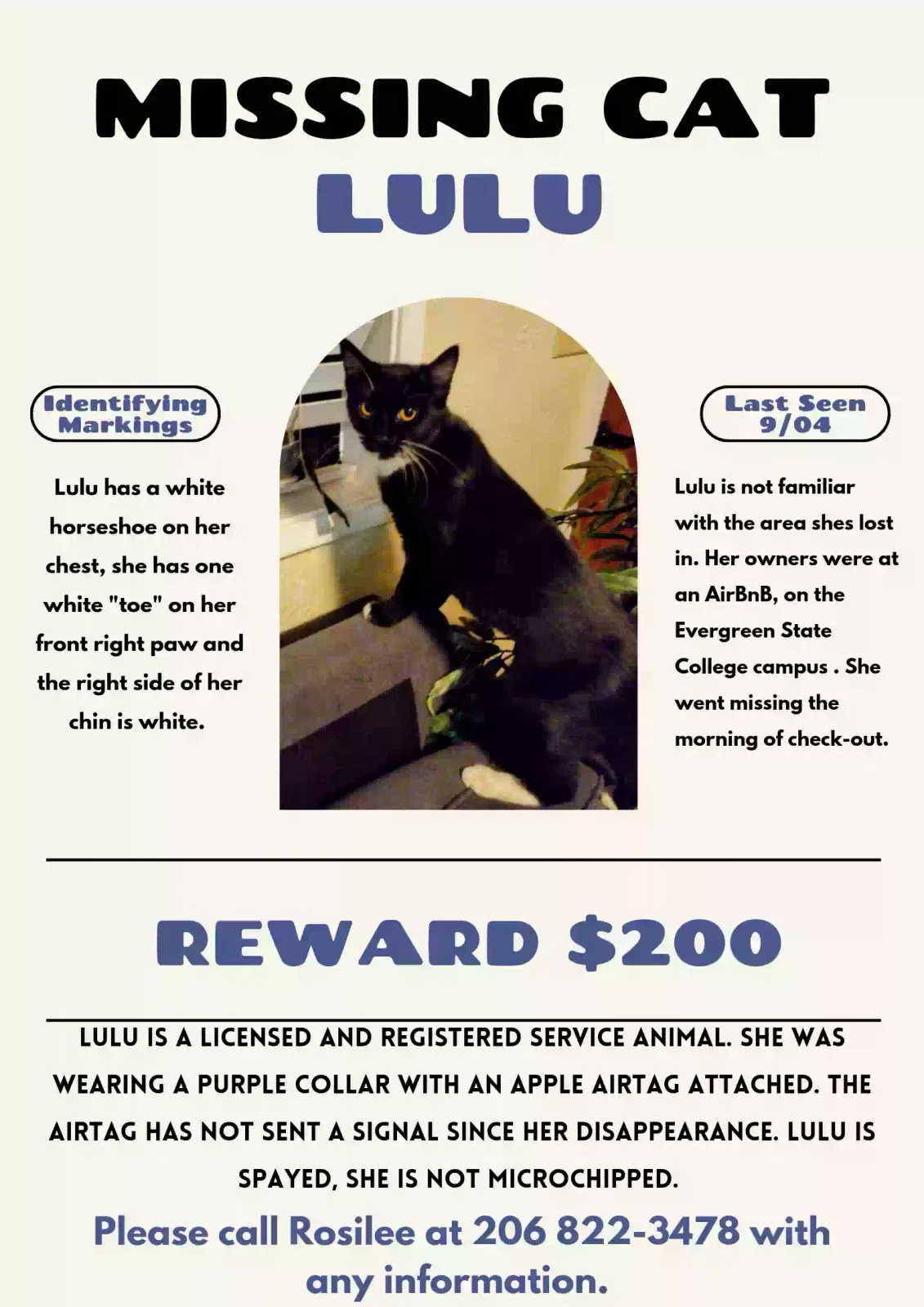 Lost cat in Olympia, WA, 98505