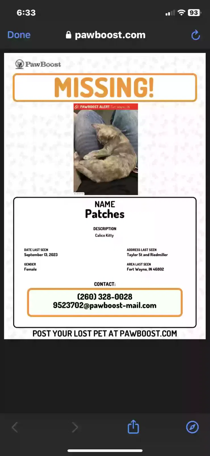 Lost cat in Fort Wayne, IN, 46802
