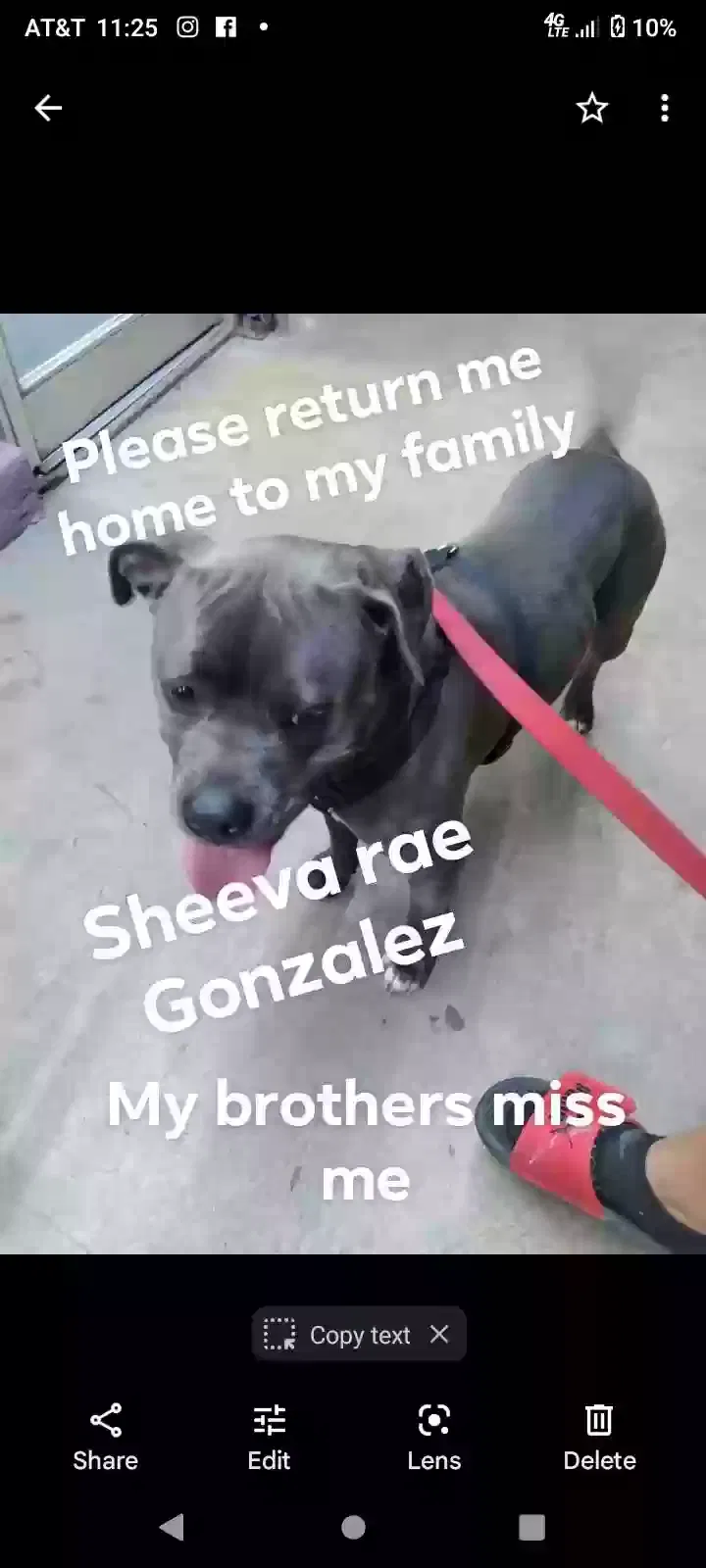 Lost dog in San Antonio, TX, 78242