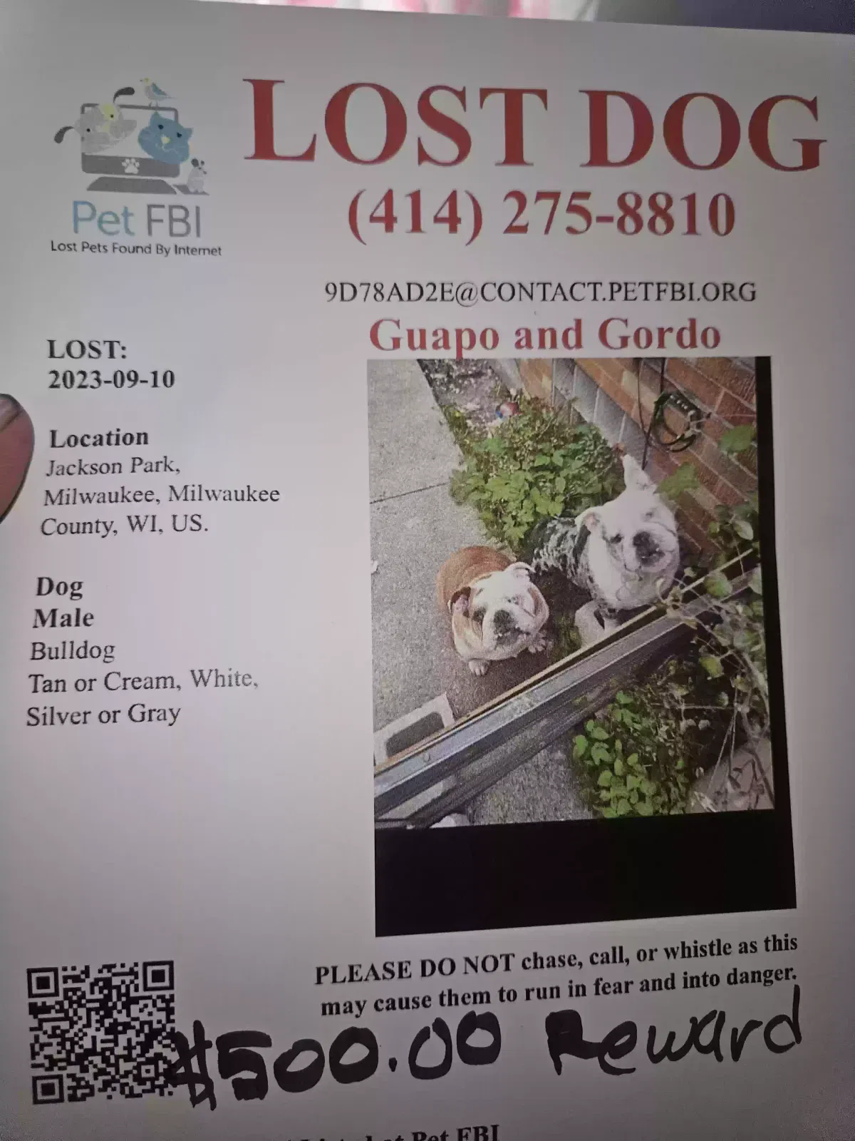 Lost dog in Milwaukee, WI, 53219