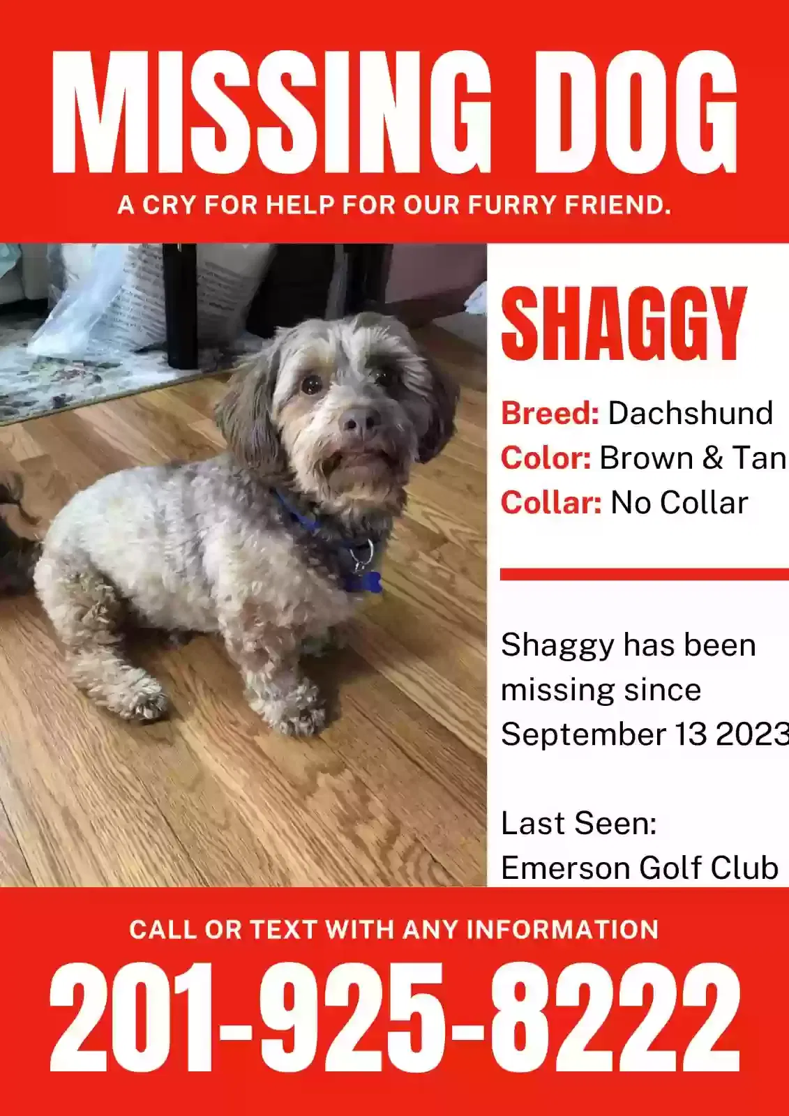 Lost dog in Emerson, NJ, 7630